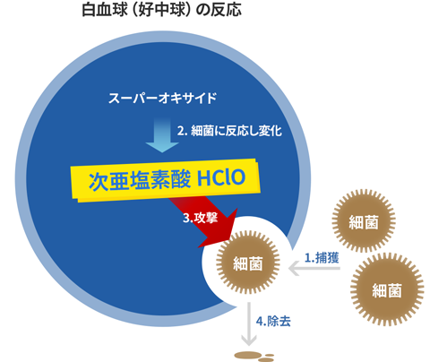 次亜塩素酸による除菌